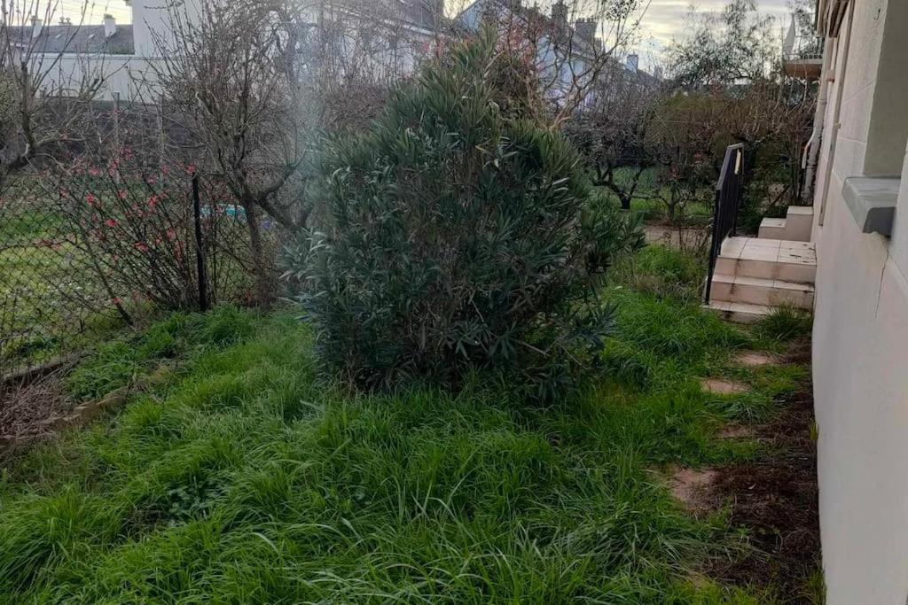Appartement Cosy 2 Chambres Avec Jardin Les Ponts-de-Cé Exterior foto